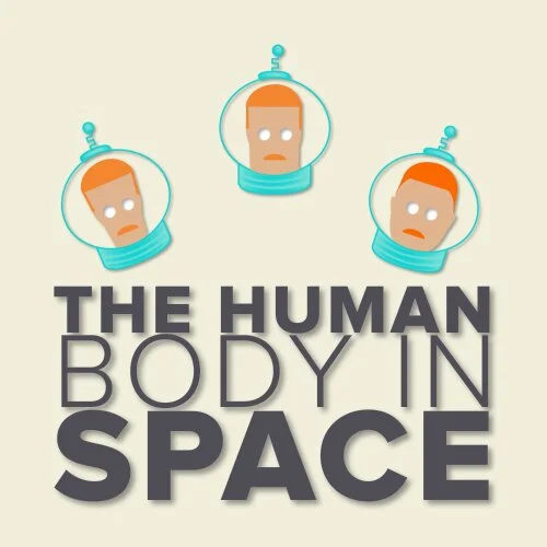 Human Body in Space Video Infographic