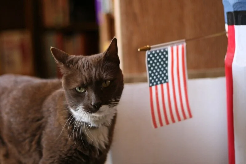 Joseph Morris 4th of July