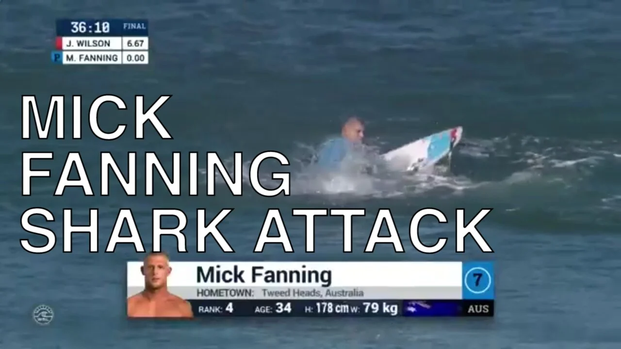 mick fanning shark attack
