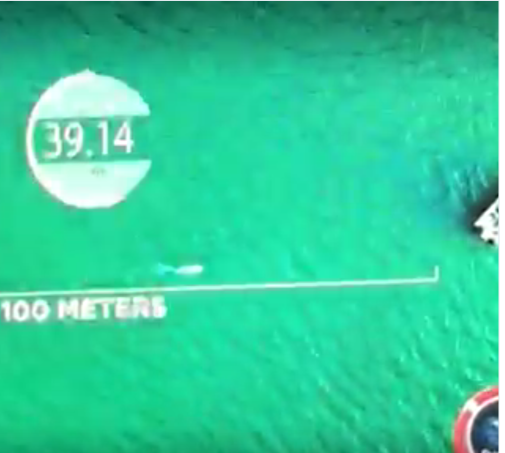 Michael Phelps vs Shark Discovery Channel’s Shark Week 2017: Loses in under 2 seconds!!!